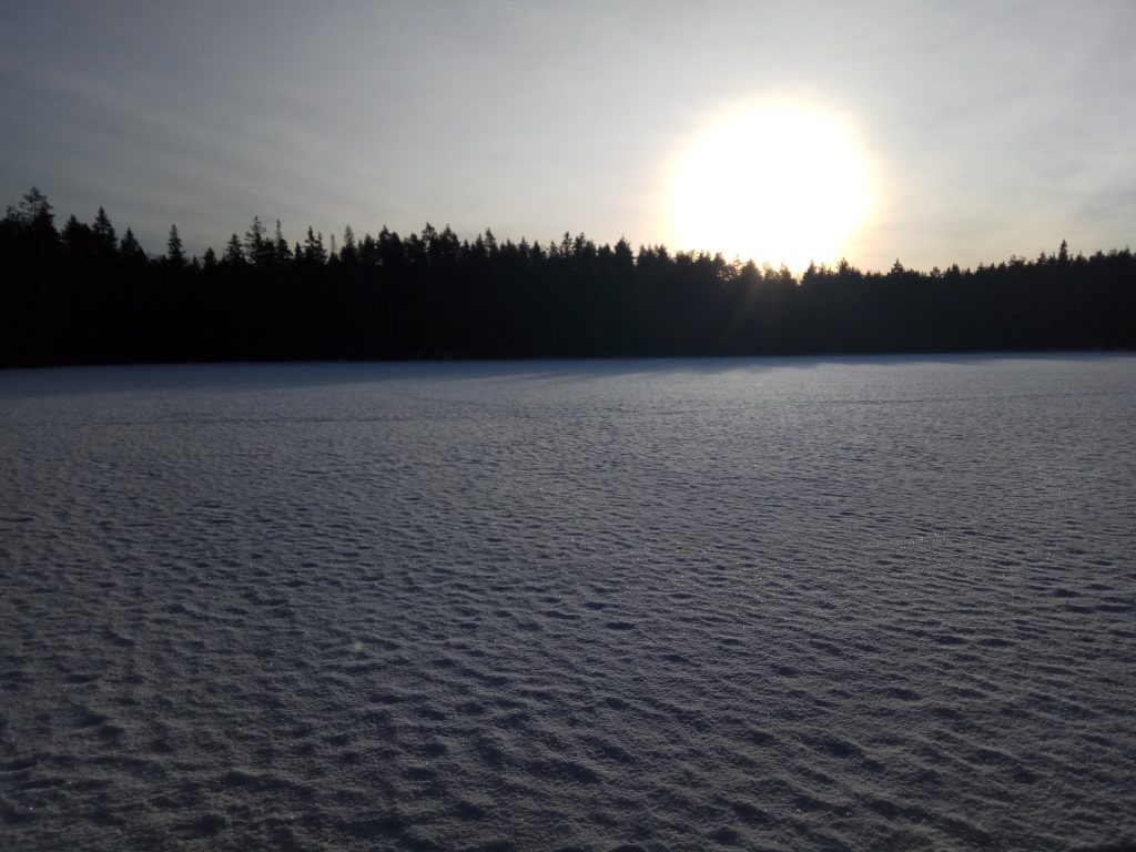 Lago helado en el Parque Nacional de Nuuksio, Finlandia