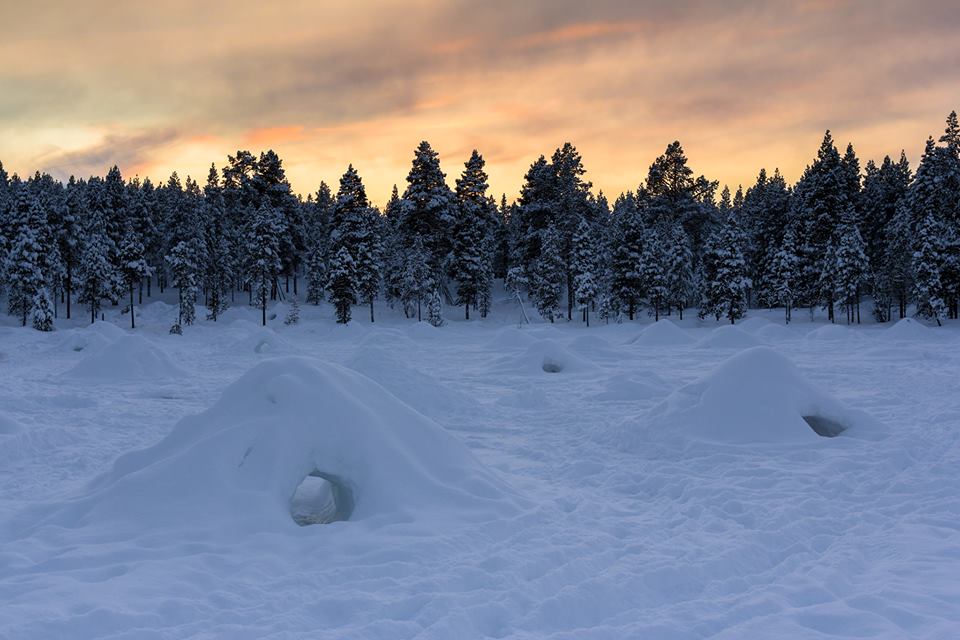 Iglús sobre el atardecer en la laponia finlandesa