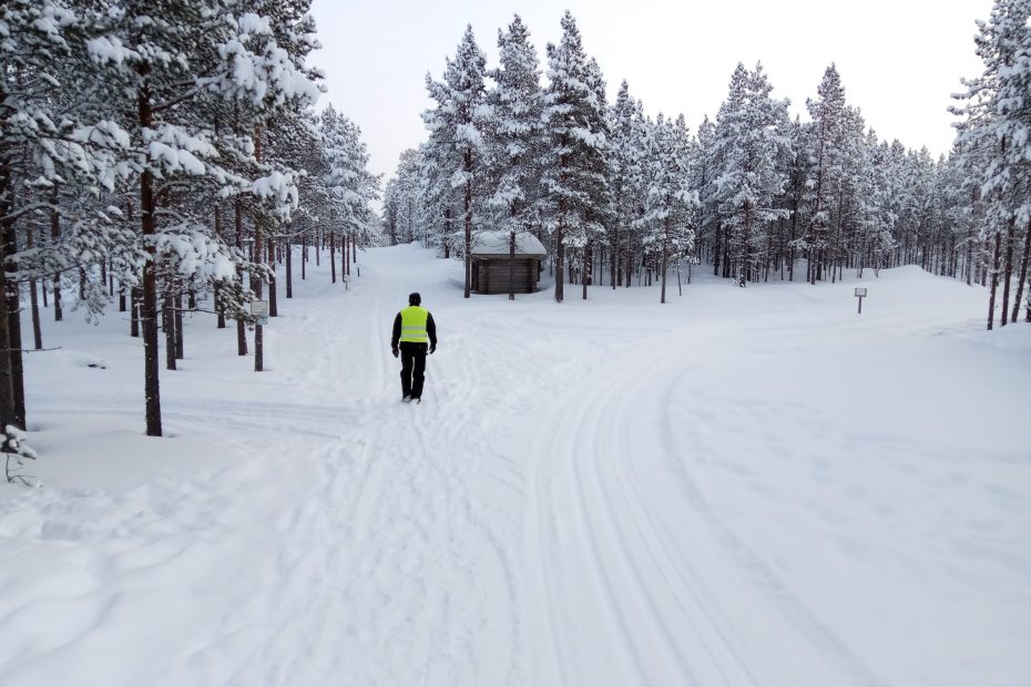 Paisaje nevado en medio de la Laponia Finlandesa