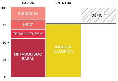 Esquema sobre el déficit energético, por Fitness Revolucionario