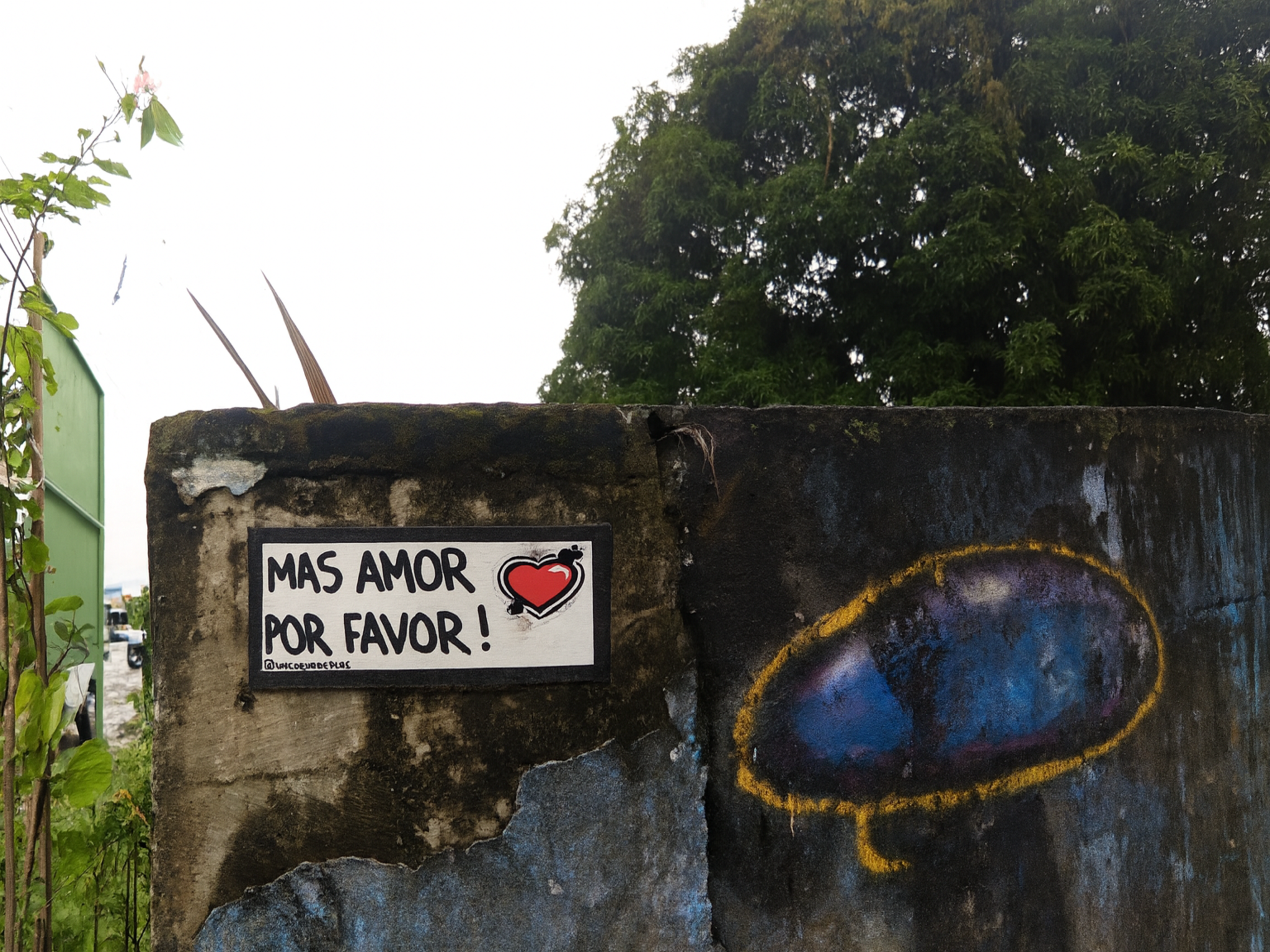 EL AMOR